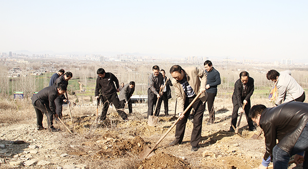 香港全年最全免费资料大全
