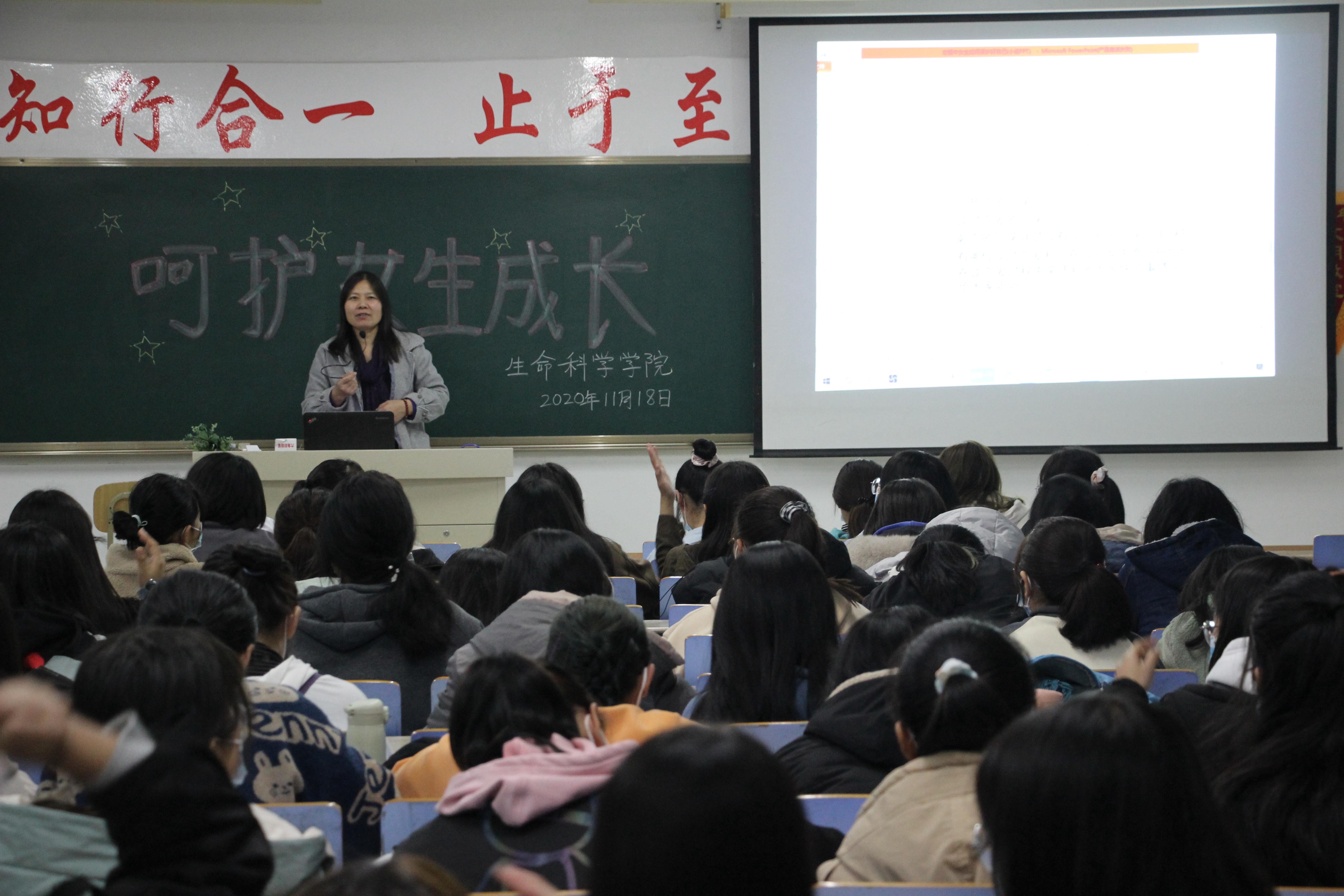 香港全年最全免费资料大全