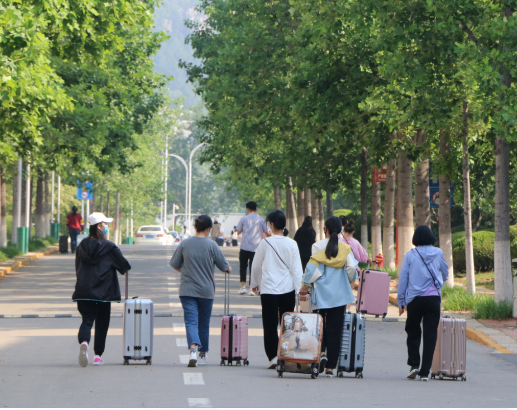 香港全年最全免费资料大全