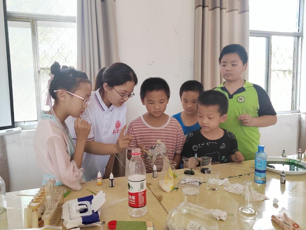 香港全年最全免费资料大全