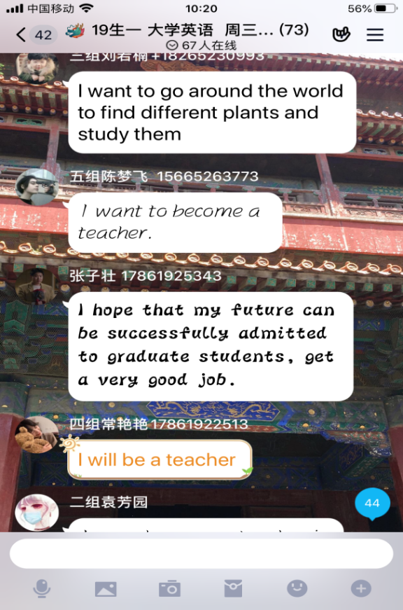 香港全年最全免费资料大全