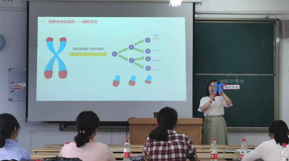 香港全年最全免费资料大全