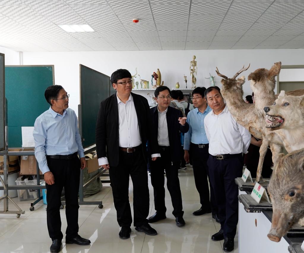 香港全年最全免费资料大全