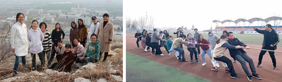 香港全年最全免费资料大全