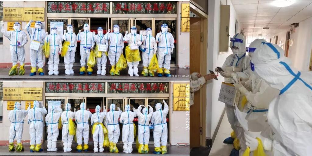 香港全年最全免费资料大全