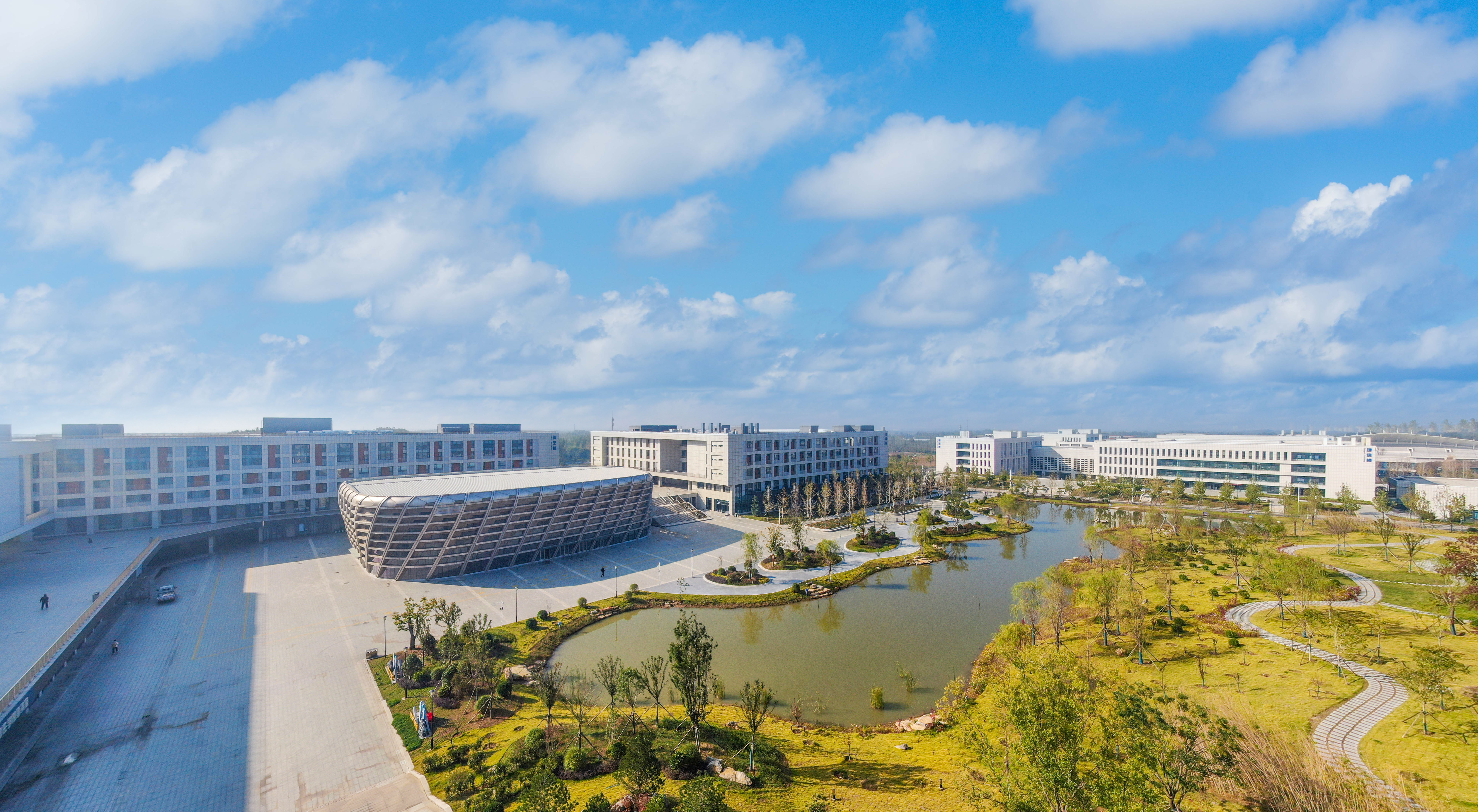 香港全年最全免费资料大全